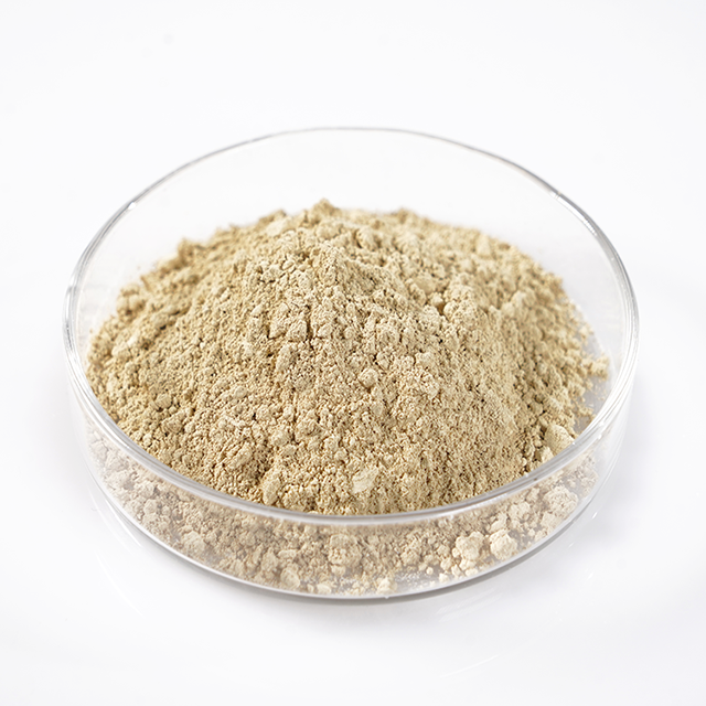 Saponine de thé